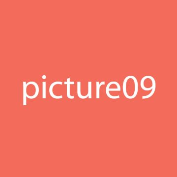 Picture 9
